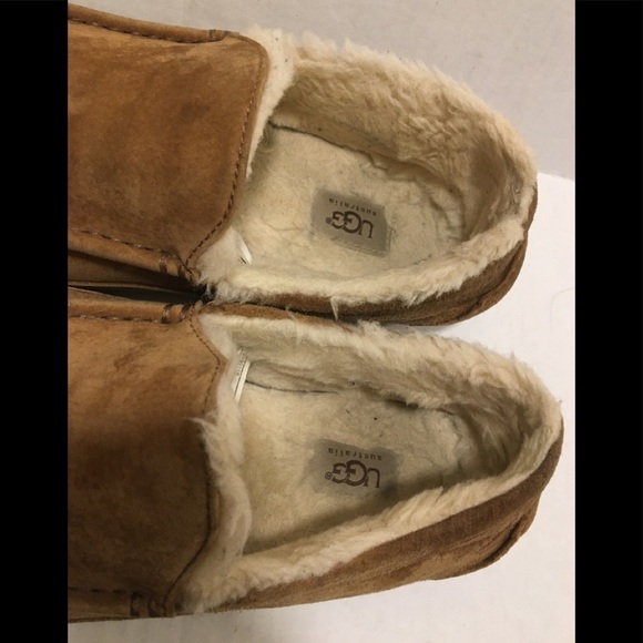 UGG ASCOT SUEDE SLIPPER main image 12